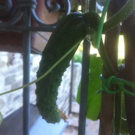 Landhaus A Casa Di Lucia *