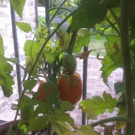 Séjour à la campagne A Casa Di Lucia