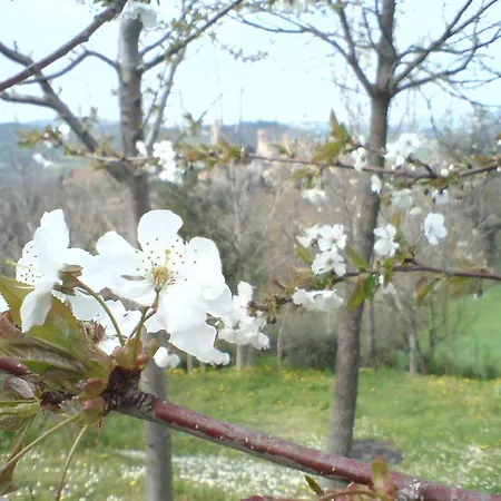 A Casa Di Lucia *